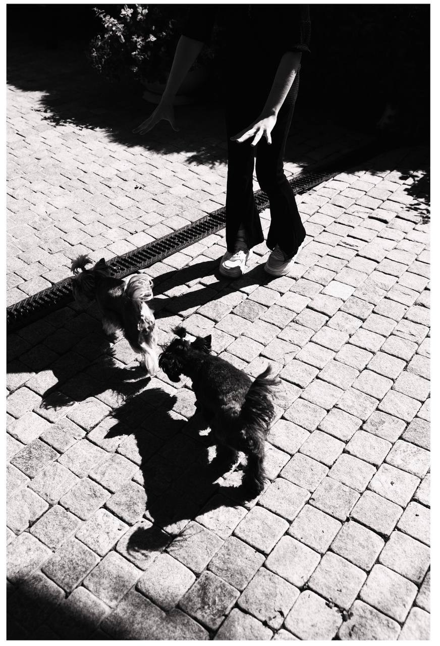 Фотолагерь. ARTDARY | Фотограф Дарья Грицай