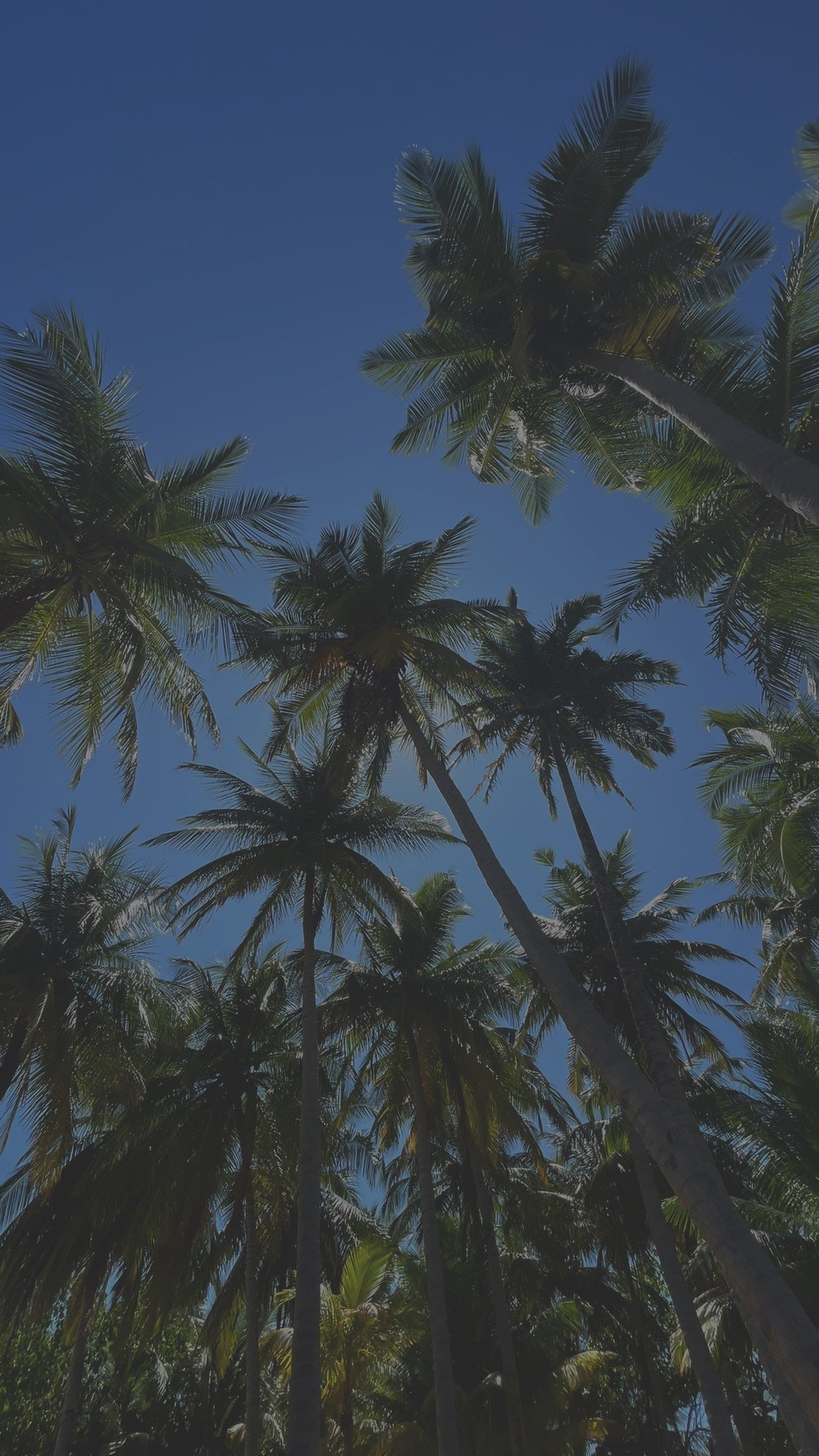 Мини-разбор: Энергия рода и энергия карьеры на периоды жизни. Организация и координация свадебных и семейных торжеств