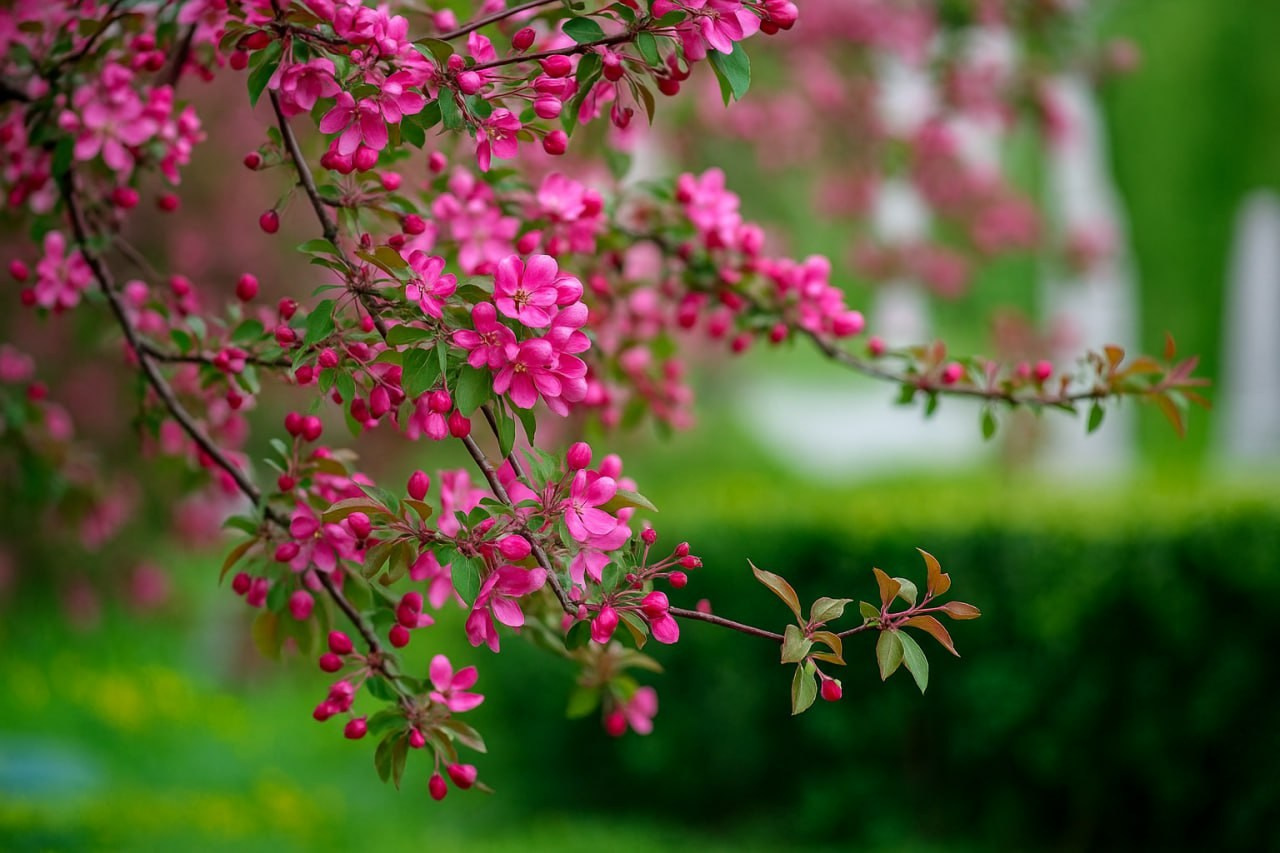 Фотостудия в Москве LUXARTPHOTO