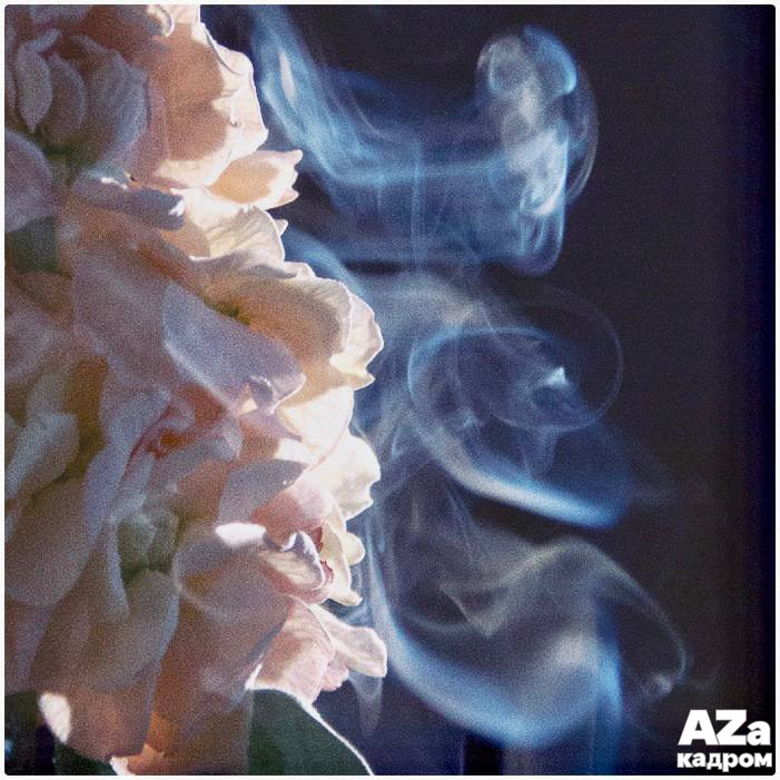 Дыхание весны. Фотоклуб AZакадром. Женский семейный фотограф Тула Москва Захарова Анна