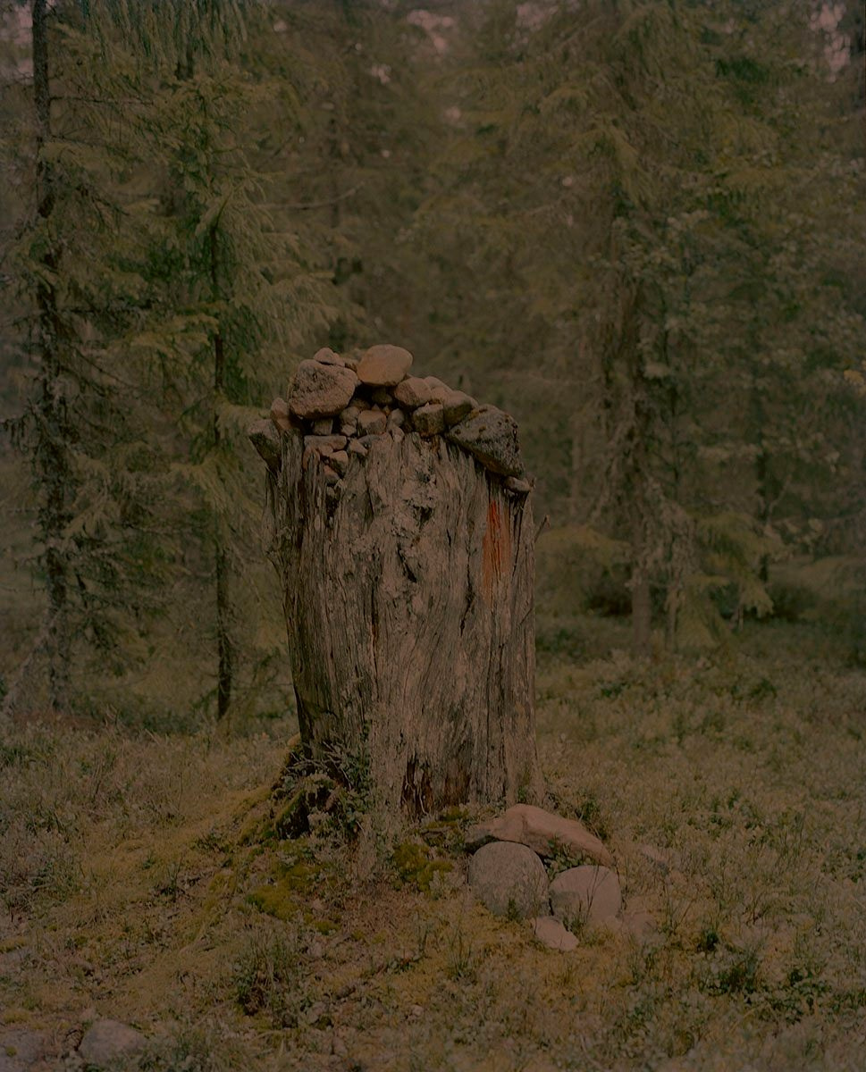 Книга «Gertrud» Мэй Дэниелс (Maja Daniels). Private image