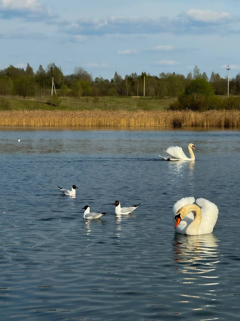 МАРАФОН ФОКУС НА ПРЕКРАСНОМ. Фотограф Анастасия Дмитриева