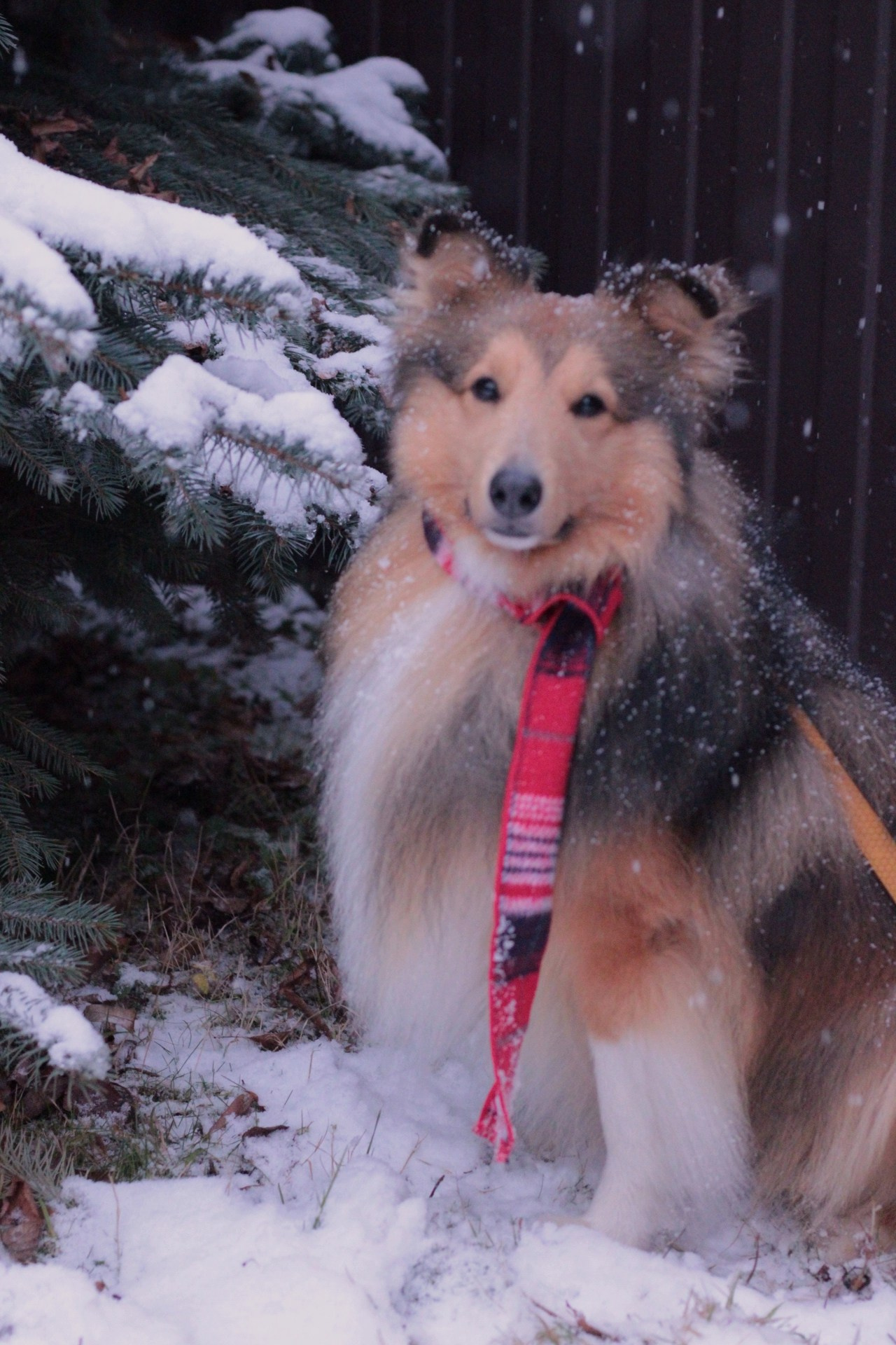 Катя Попова|ЛайфСтайл фотограф