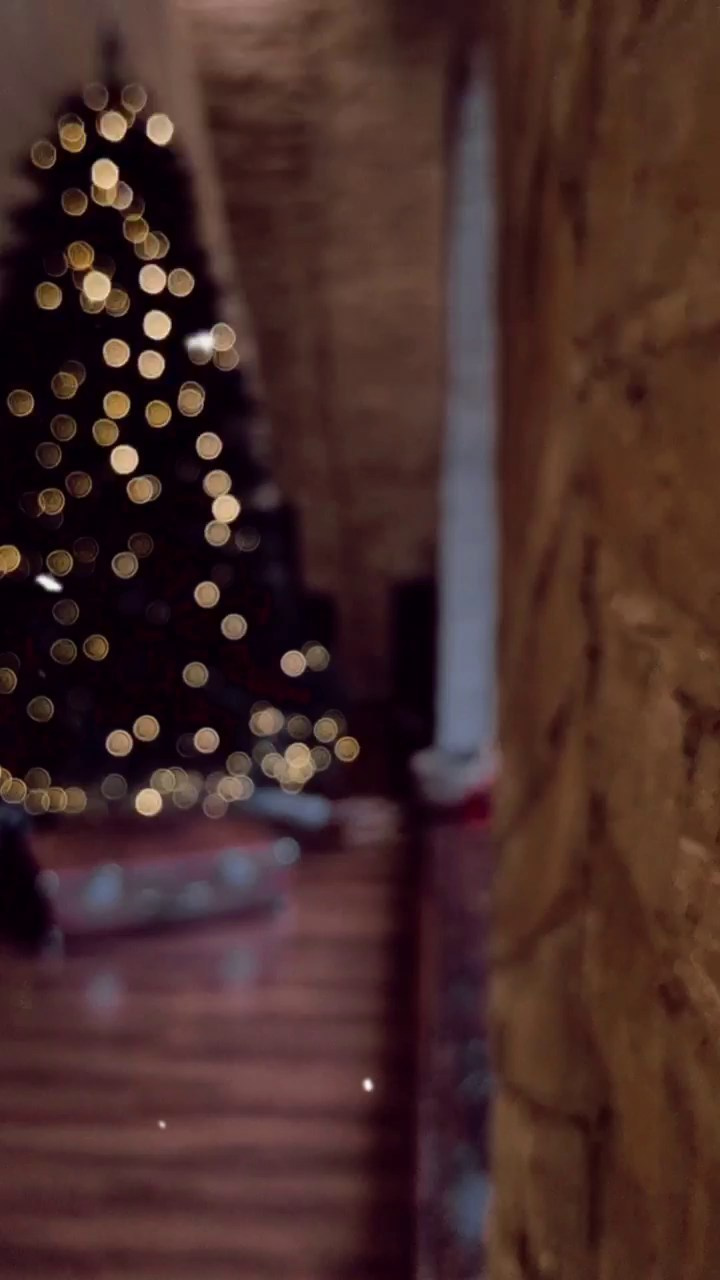 МОБИЛЬНАЯ ВИДЕОГРАФИЯ