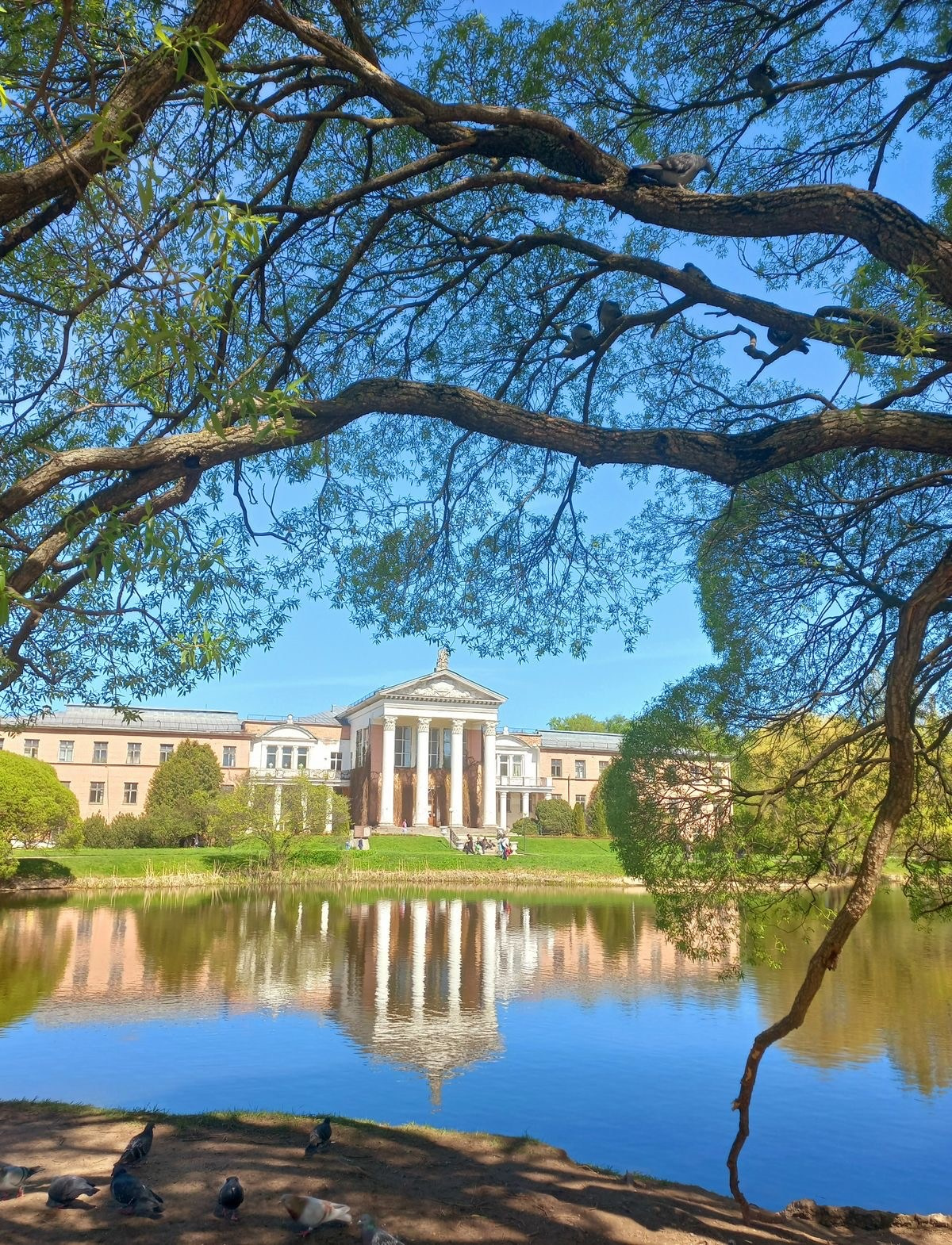 Локации для съемок в Москве. Фотограф НатаФото (Наталья Яковенко) Дмитров Москва Питер