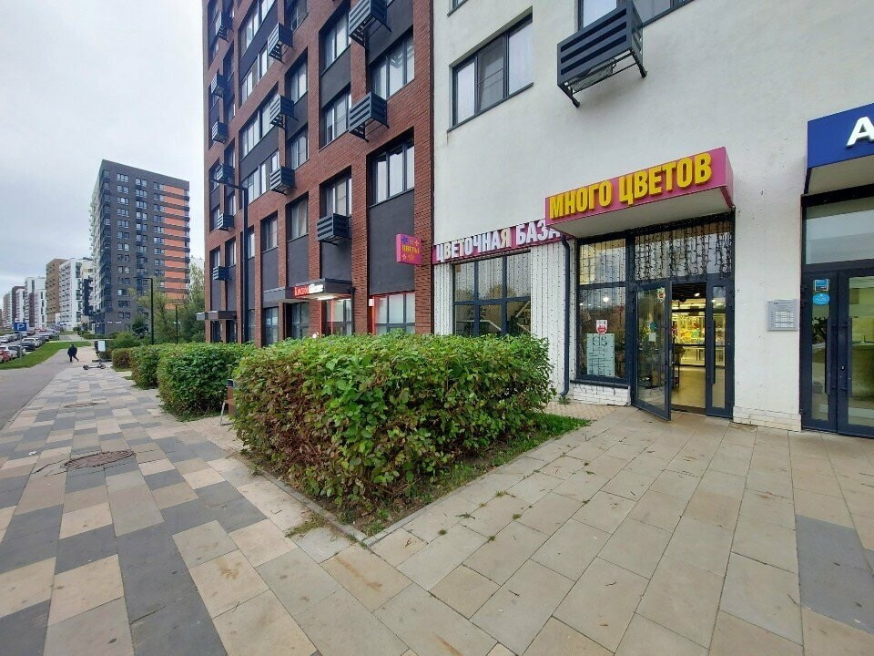 Пакеты с фотографом. Content Studio фотостудия