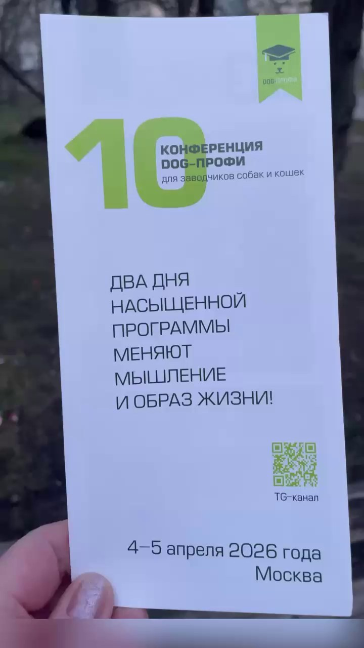 DOG-ПРОФИ 2026. Питомник китайских хохлатых собак Poale Ell: купить щенка в питомнике