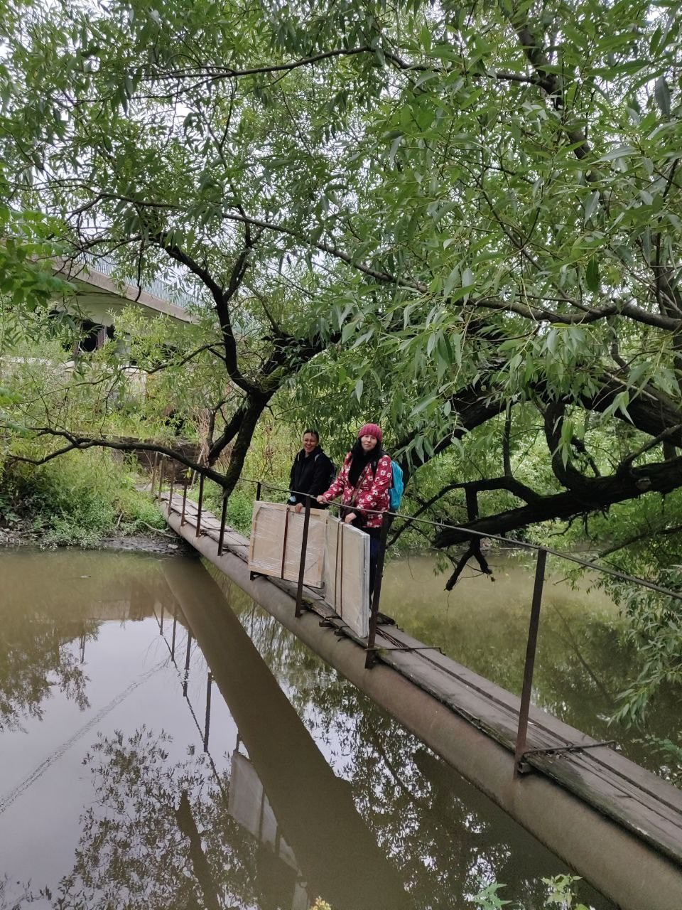 Красненькая биеннале. Санкт-Петербург. Лилия Ким. Междисциплинарный художник