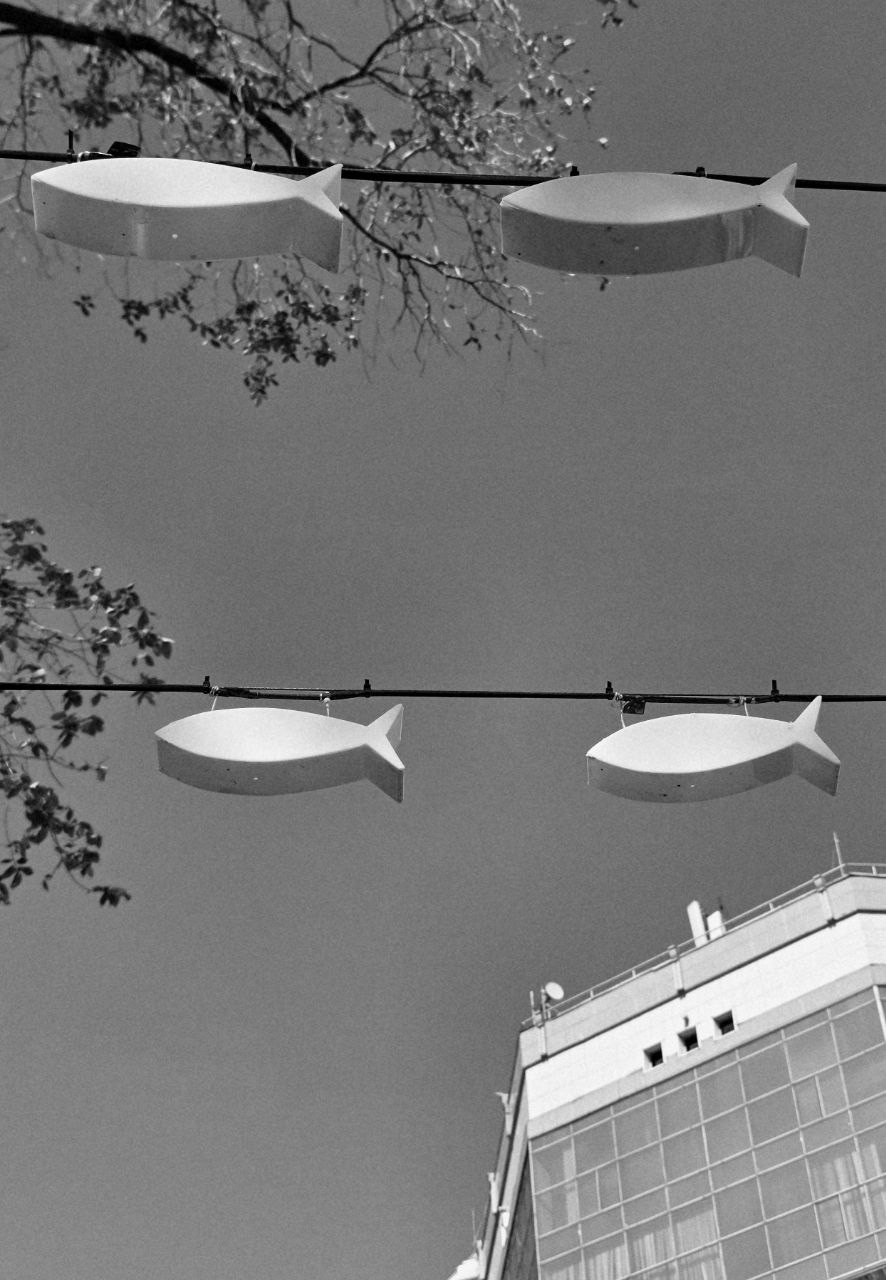 Марафон креативной фотографии. Vladimir Borele Photographer