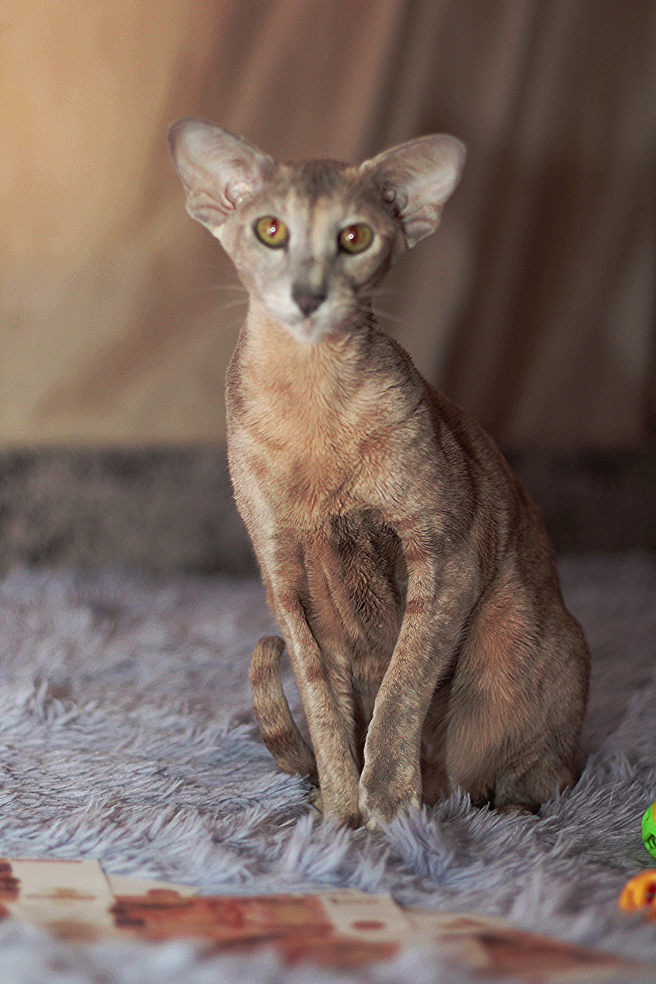 Катя Попова|ЛайфСтайл фотограф