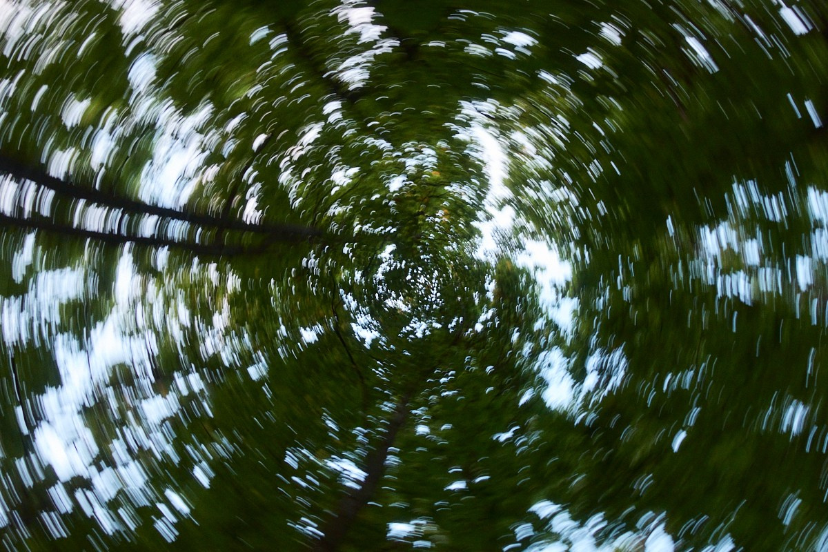 8-9/25. Иван Кобяков