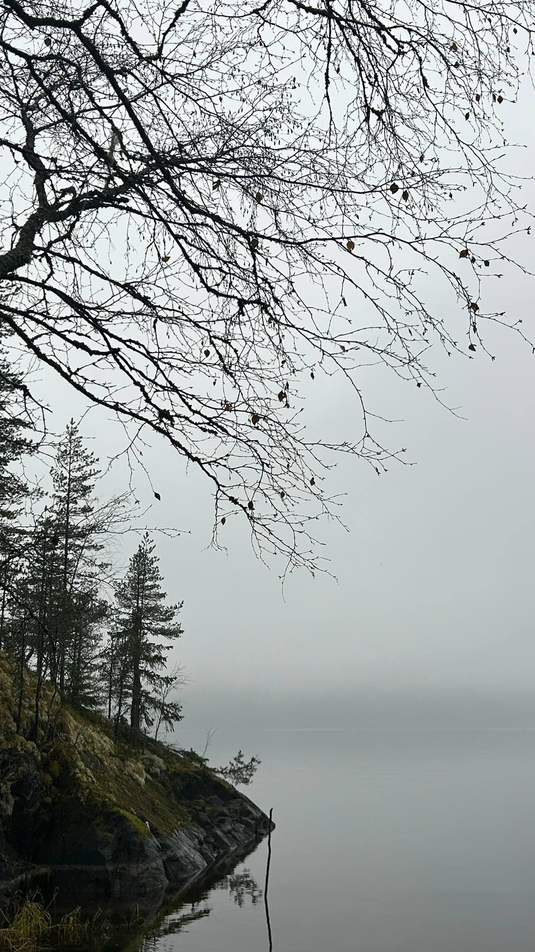 КАРЕЛЬСКАЯ ПЕРЕЗАГРУЗКА. INNERBLOOM TRAVEL-путешествия для авантюристов, мечтателей и настоящих гурманов по России и миру