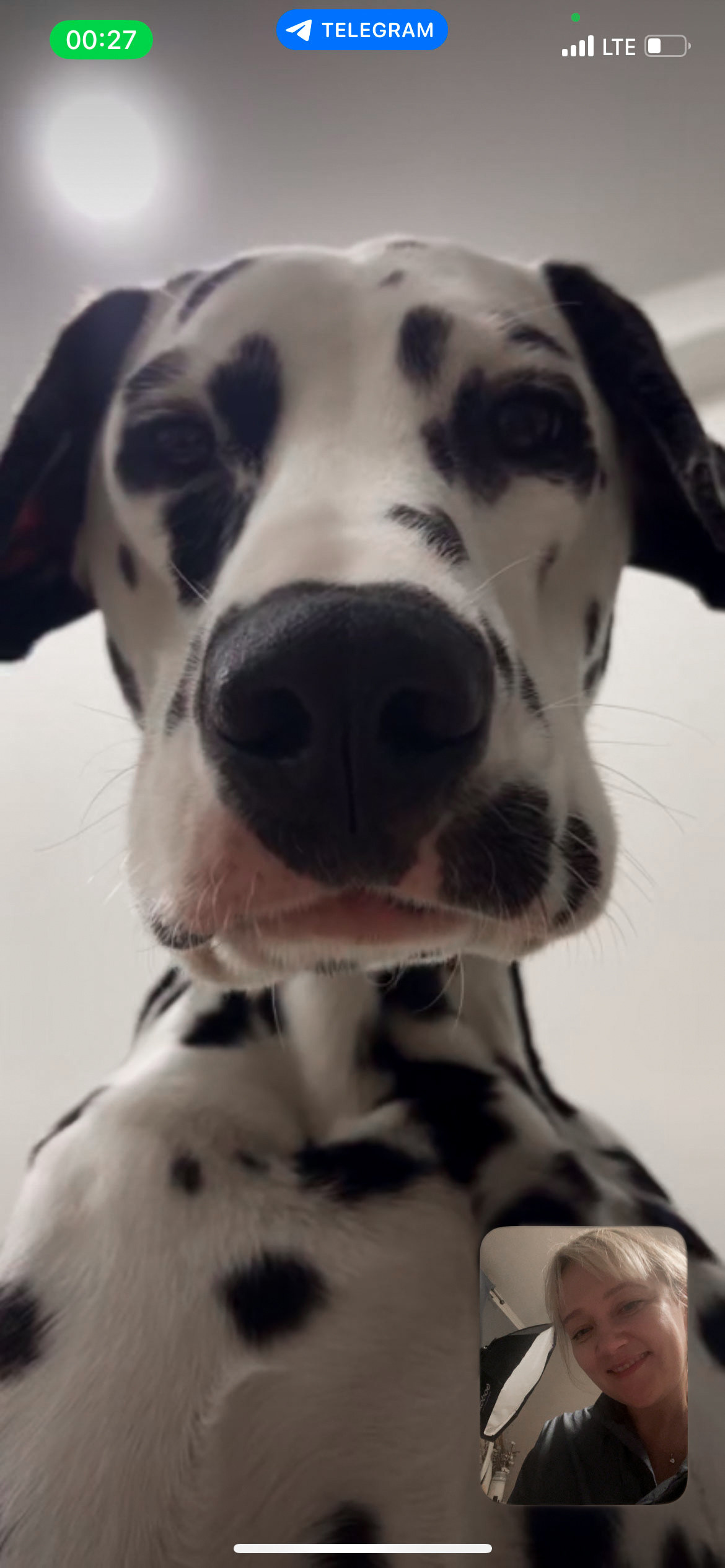 Пушистые. Наталья Орешина документальный и арт-фотограф из Санкт-Петербурга