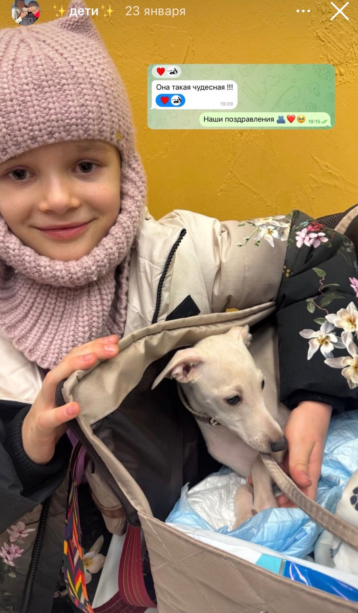 Левретка и ребенок: нежная дружба. Профессиональный питомник левреток РКФ/FCI ASTI SAPPHIRE 💎 Сочи|Санкт-Петербург