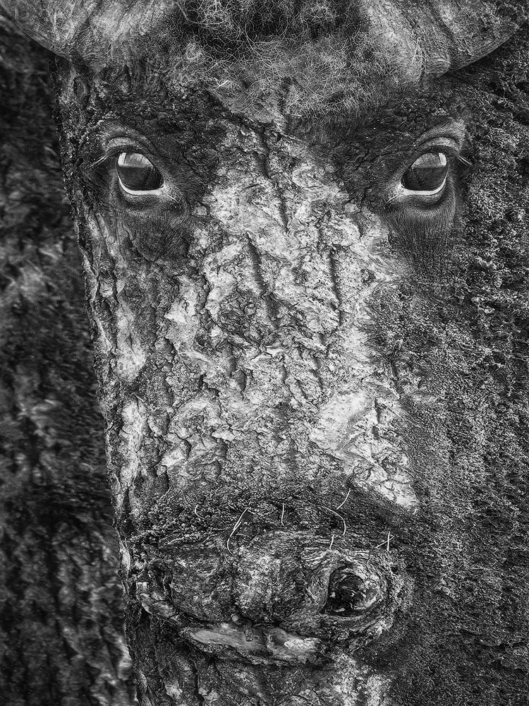 Projects. Landscape Photography by Aleksandr Leshchenok