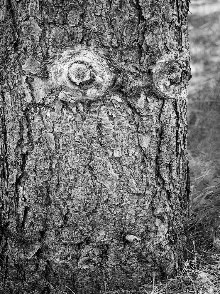 Projects. Landscape Photography by Aleksandr Leshchenok