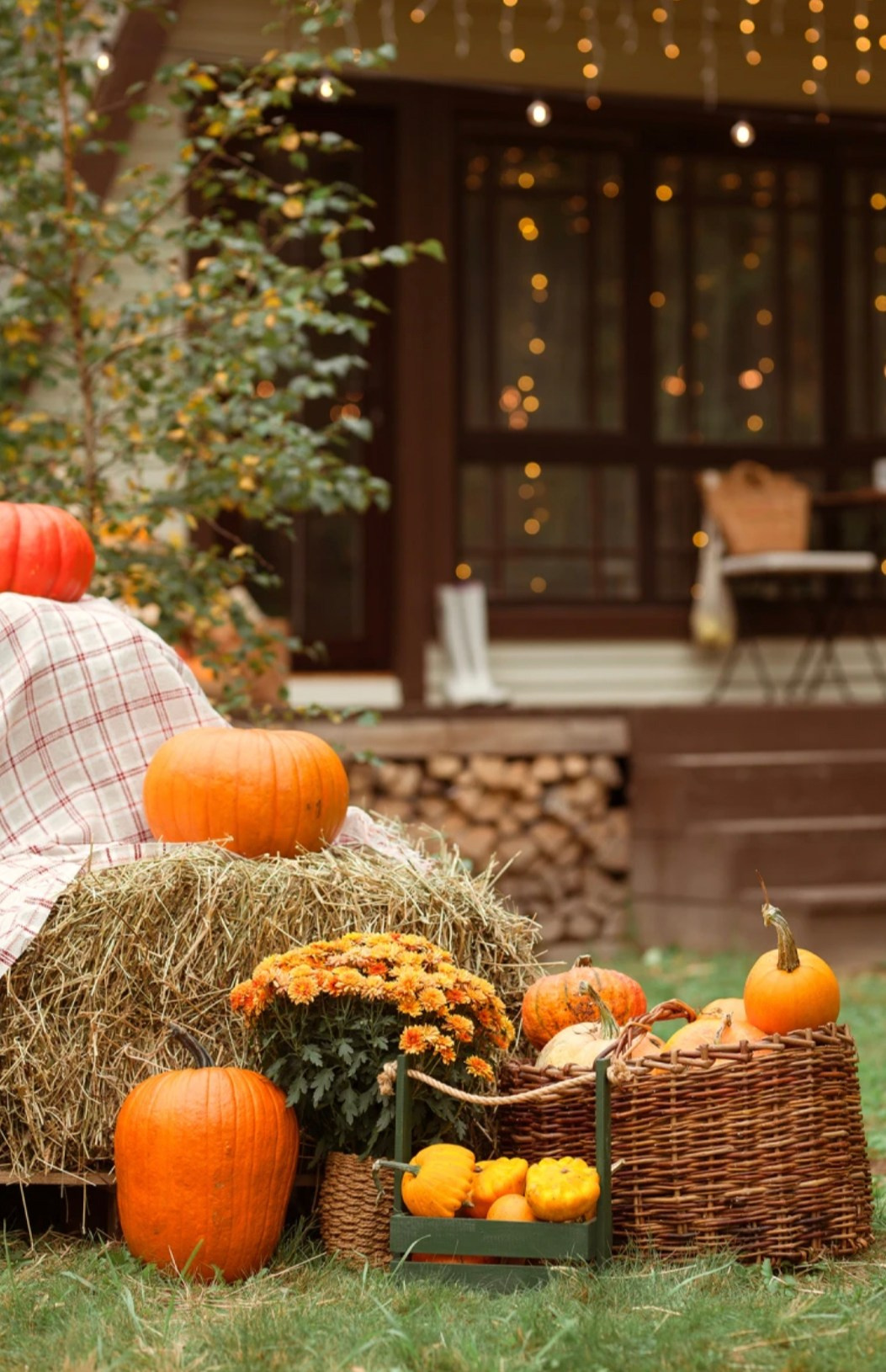 ТОП загородных фотостудии для фотосессий. Свадебный и семейный фотограф Москва и Московская область