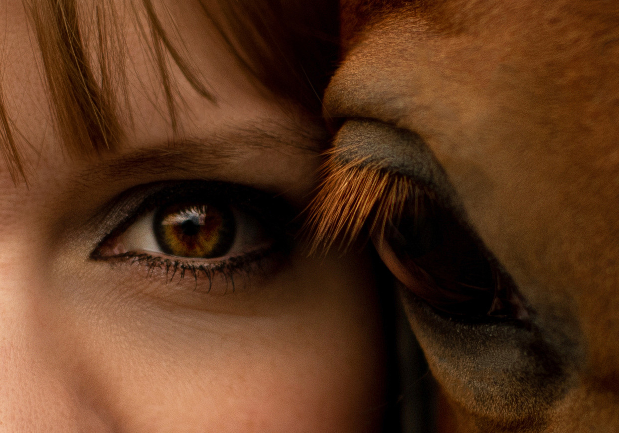 Истории. Семейный и свадебный фотограф в Феодосии и Коктебеле