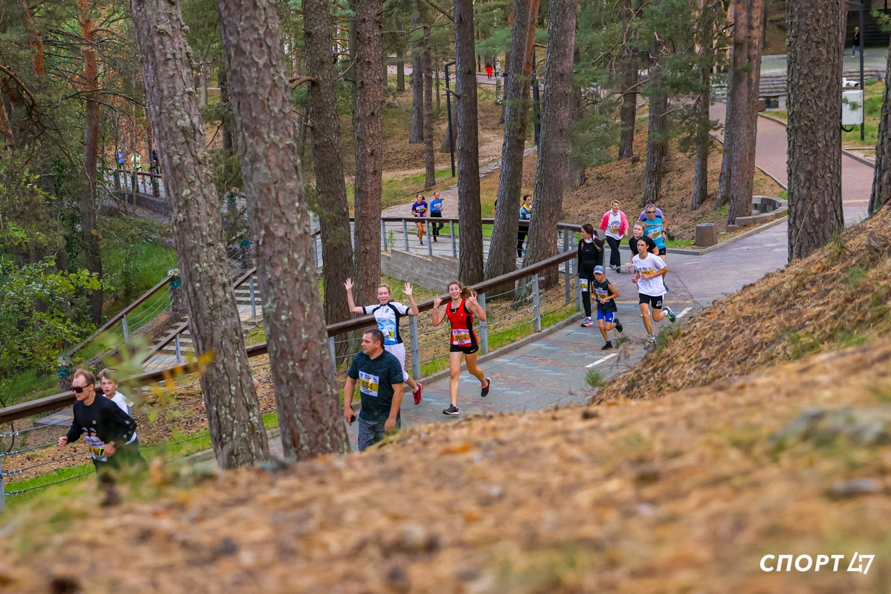 Фотосъёмка Кросса Наций в Сосновом Бору. Спортивный фотограф Зянтереков Антон