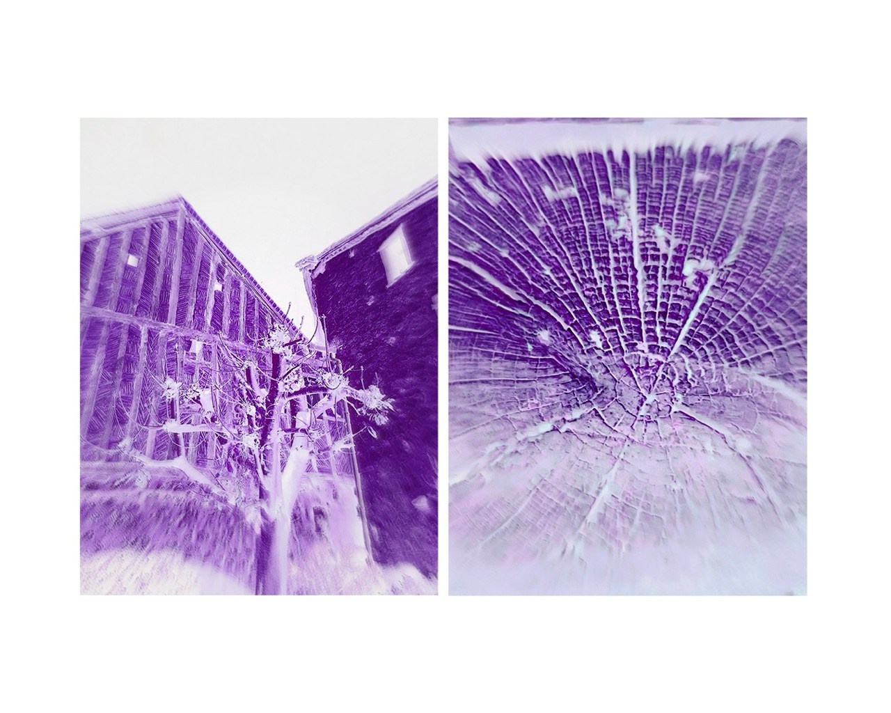 DIPTYCH STORY. VISUAL ARTIST
