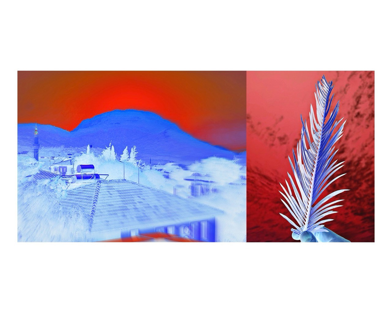 DIPTYCH STORY. VISUAL ARTIST