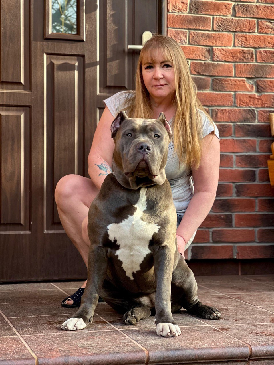 GBU Lakshmi. Американские булли XL в г. Калининград. Питомник Great Bully UNIVERSE