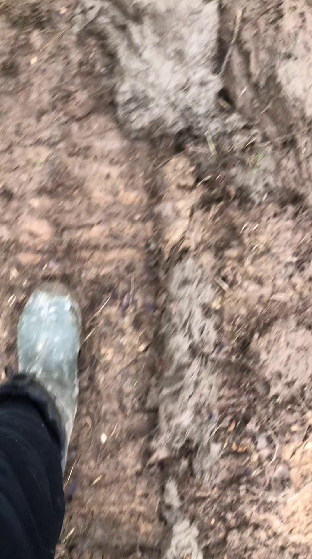 Эко-парк. DRONBERRY — Аэросъемка Ярославль