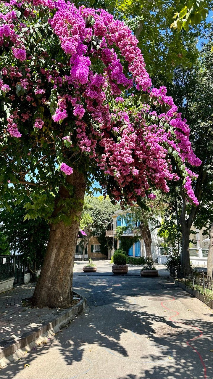 Стамбул. Портретный женский фотограф в Москве Наталия Глазова