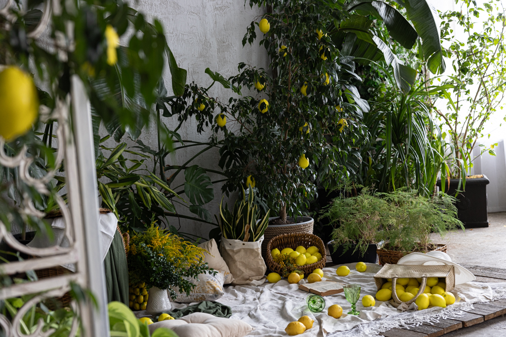 Photohub прочие залы. Фотограф в Минске Людмила Дутко