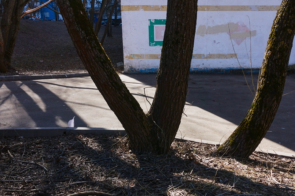 Дневной Сон. Иван Кобяков