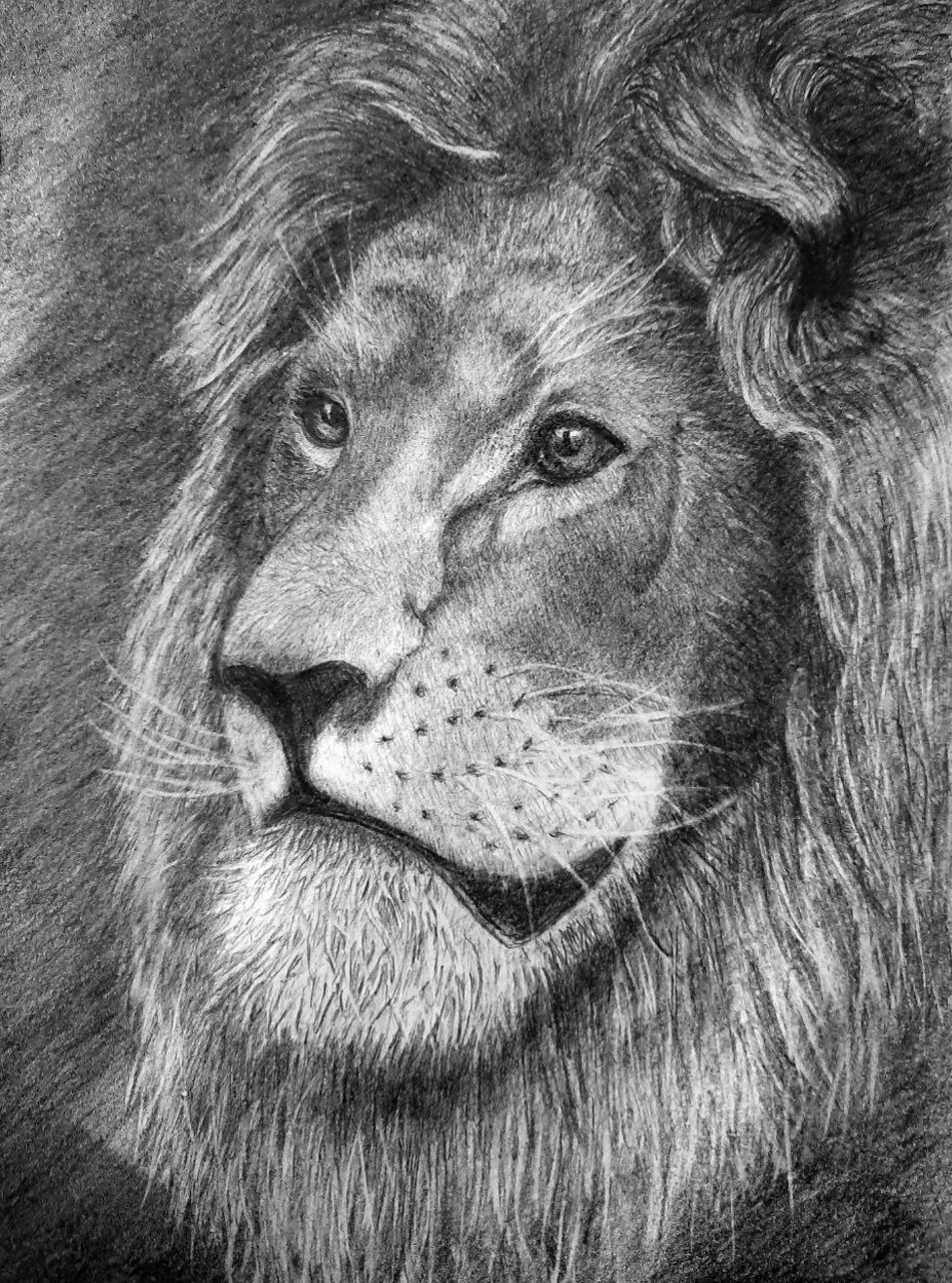 Любовь Шатунова | Портрет питомца по фото. Любовь Шатунова | Портреты по фото | Пейзажи на заказ | Натюрморты | Анимализм