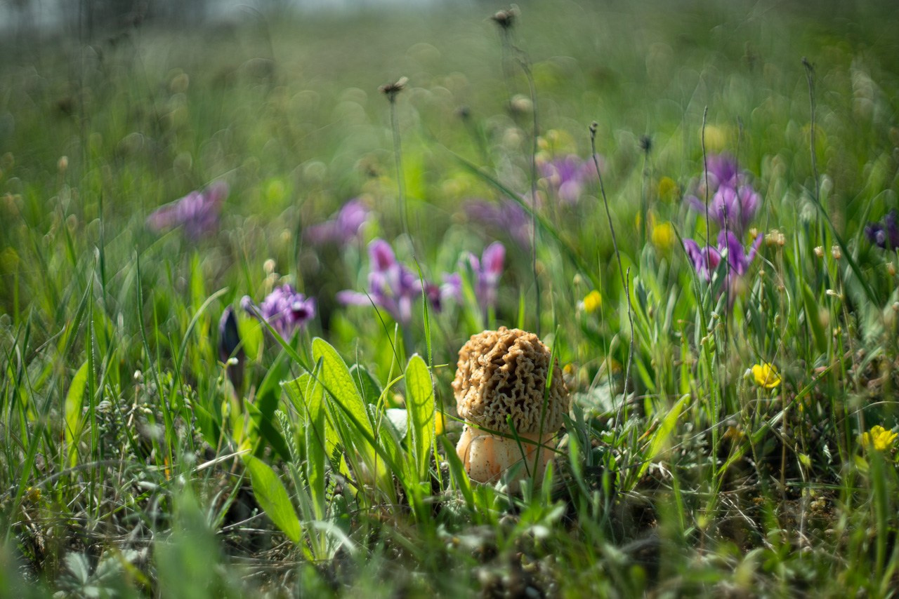 Детский Сад. Классический Выпускной Альбом