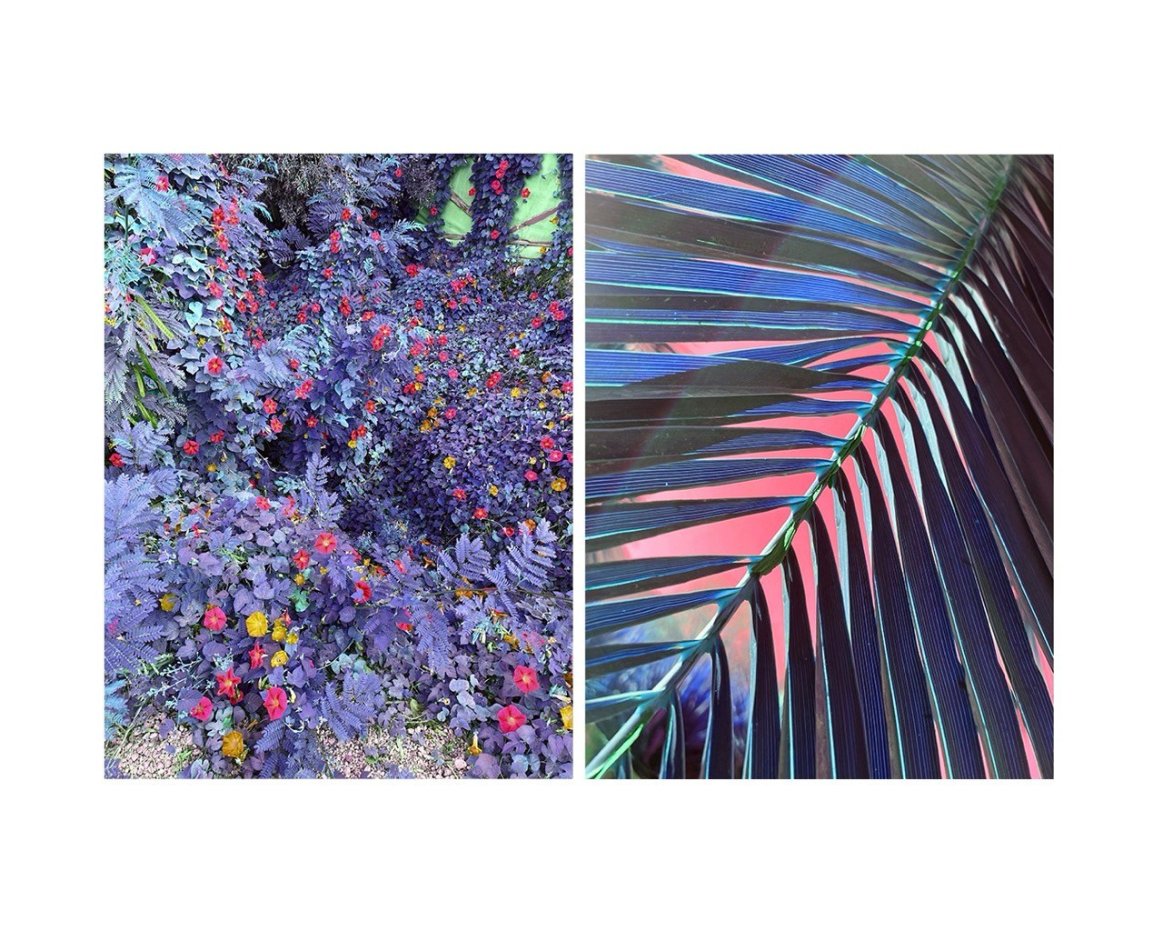 DIPTYCH STORY. VISUAL ARTIST