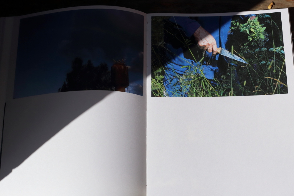 За Жар-Птицей. Екатерина Васильева художник, куратор и преподаватель