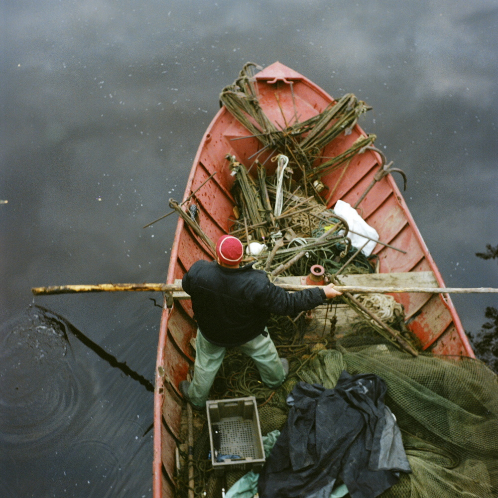 Нева река. Екатерина Васильева художник, куратор и преподаватель