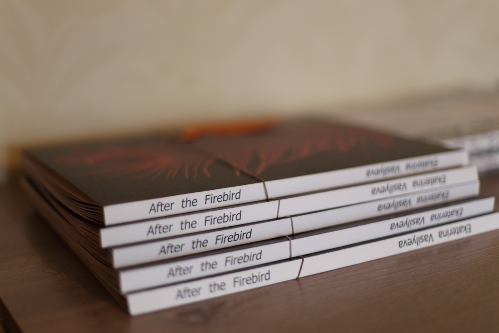 За Жар-Птицей. Екатерина Васильева художник, куратор и преподаватель