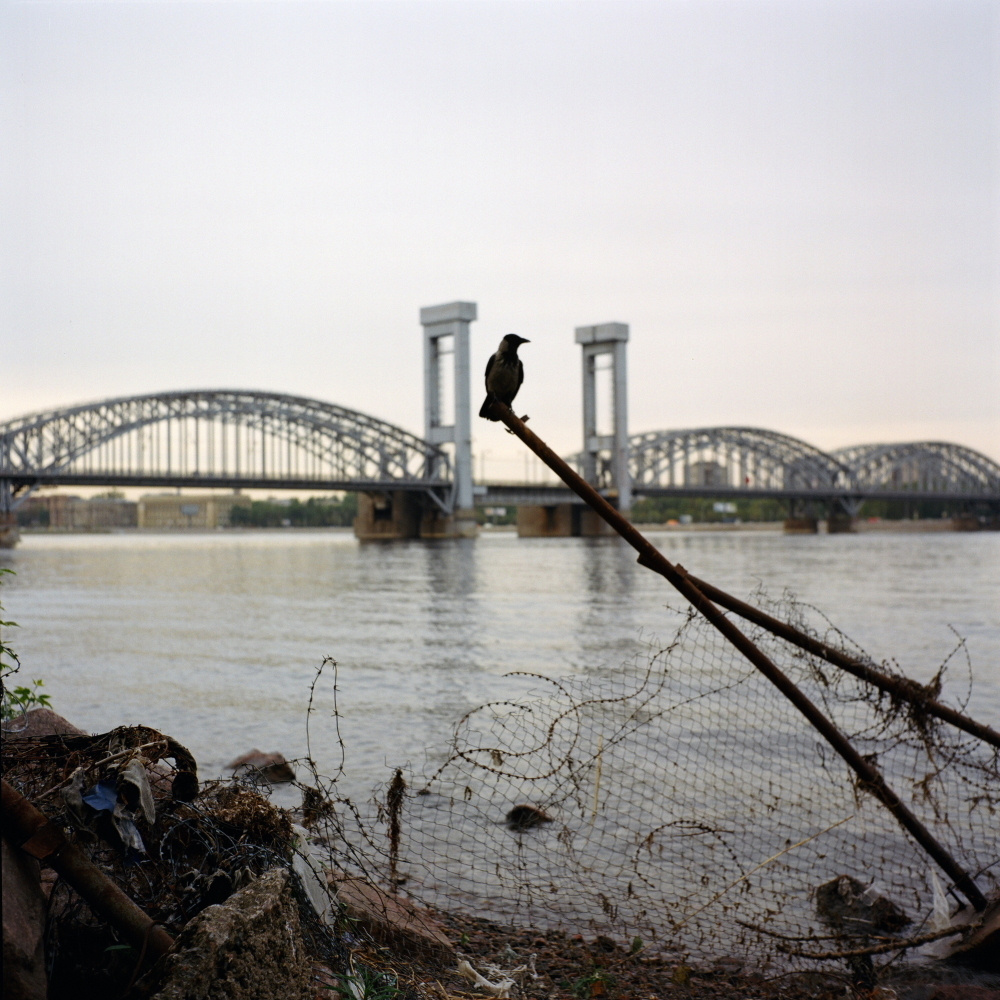 Нева река. Екатерина Васильева художник, куратор и преподаватель