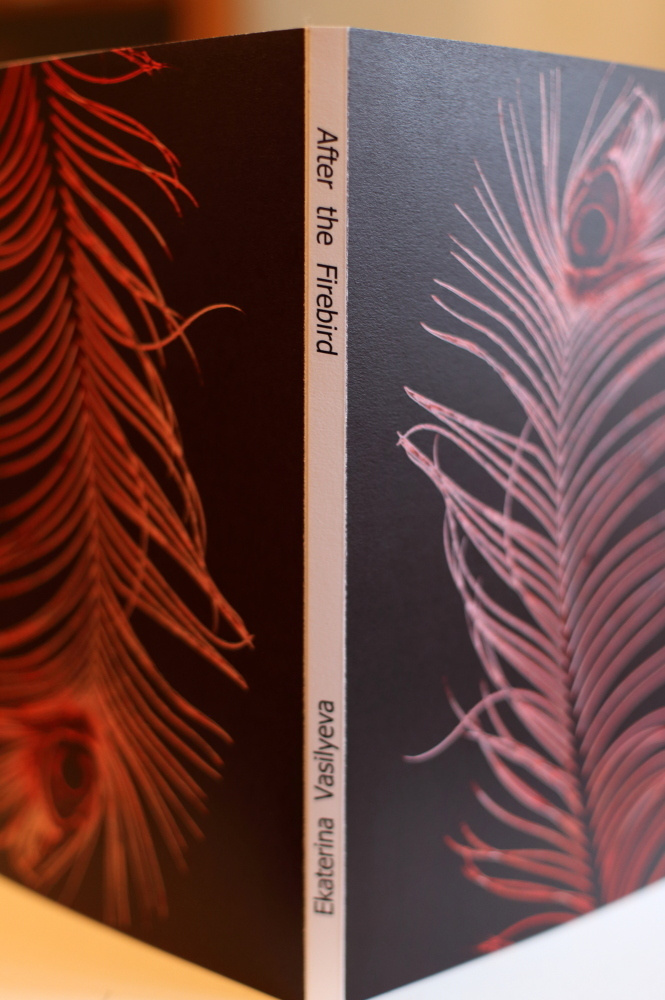За Жар-Птицей. Екатерина Васильева художник, куратор и преподаватель