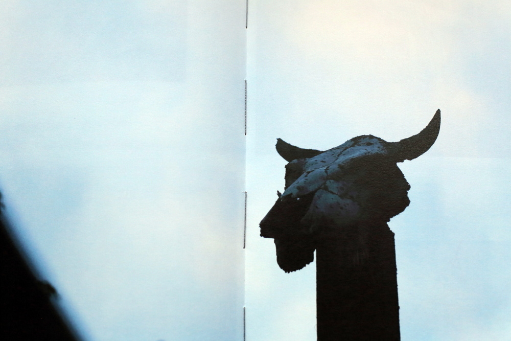 За Жар-Птицей. Екатерина Васильева художник, куратор и преподаватель