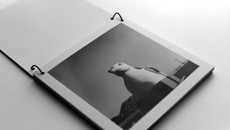 40 days of high and low tides. Ekaterina Vasilyeva photographer