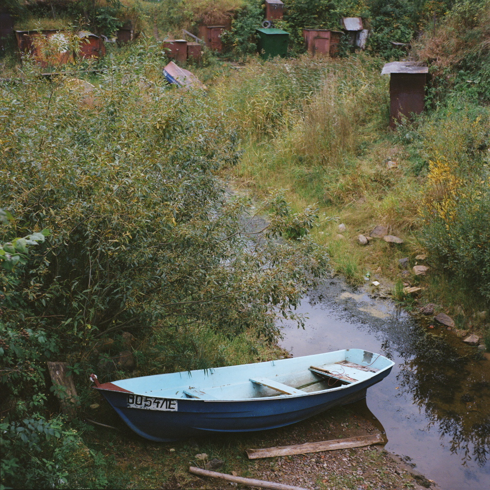 Нева река. Екатерина Васильева художник, куратор и преподаватель