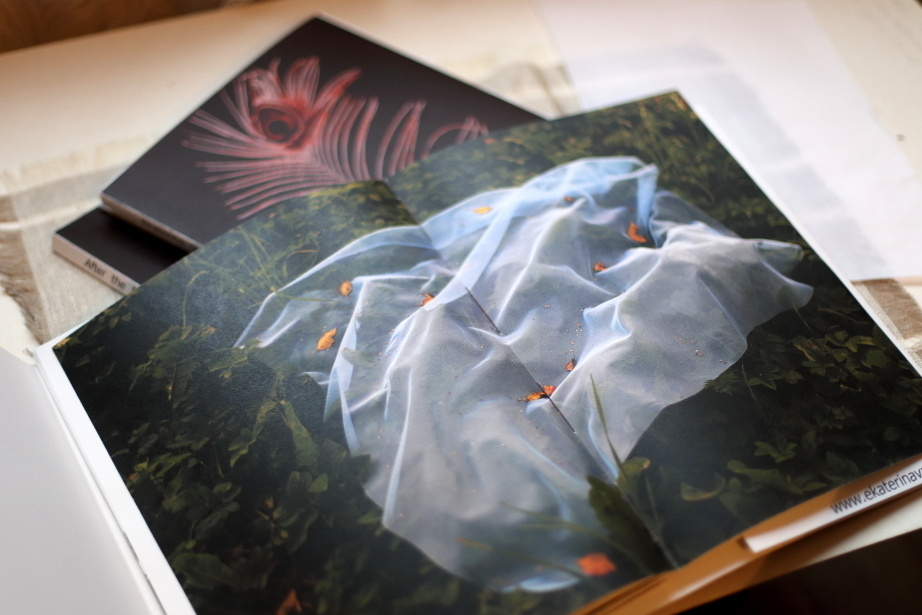 За Жар-Птицей. Екатерина Васильева художник, куратор и преподаватель