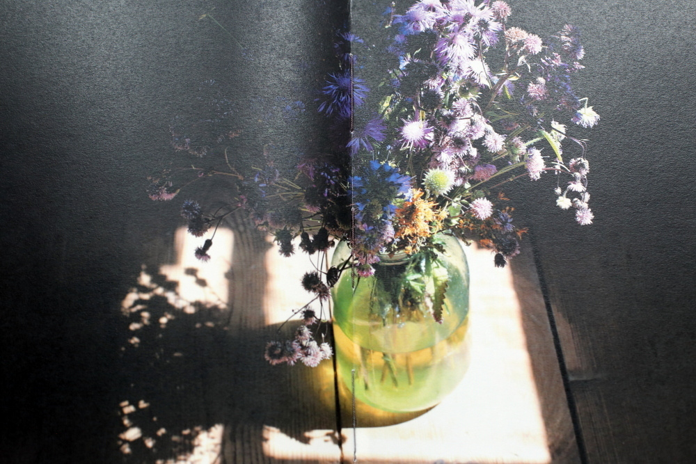 За Жар-Птицей. Екатерина Васильева художник, куратор и преподаватель