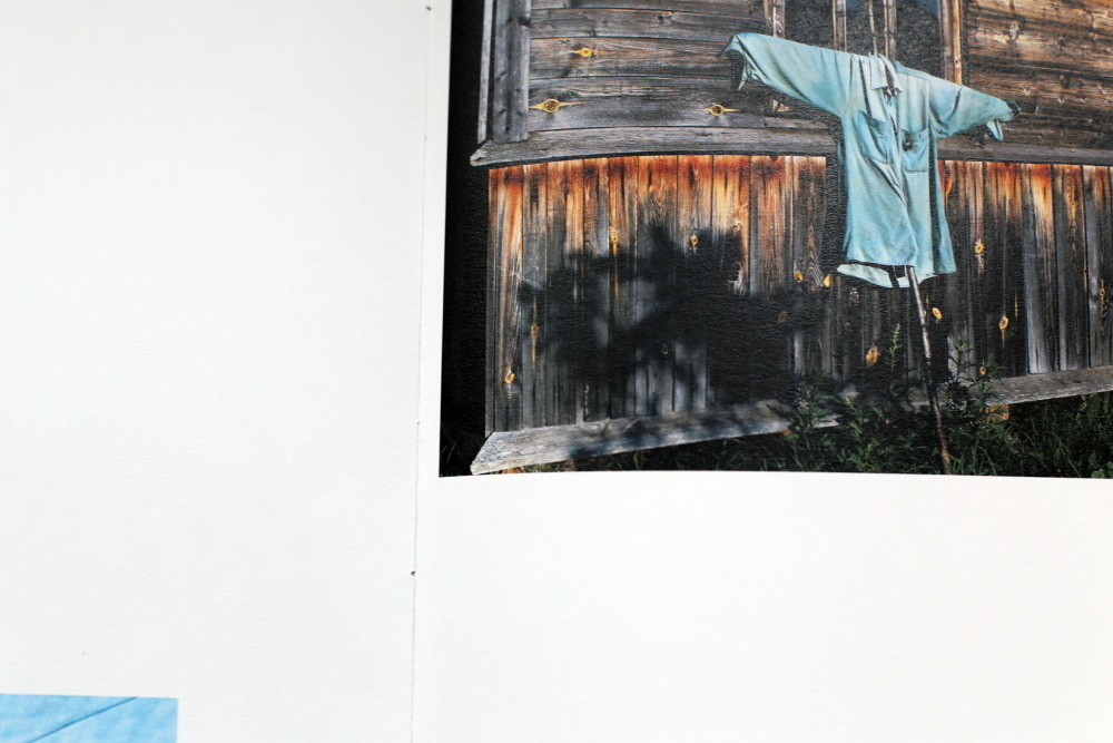 За Жар-Птицей. Екатерина Васильева художник, куратор и преподаватель