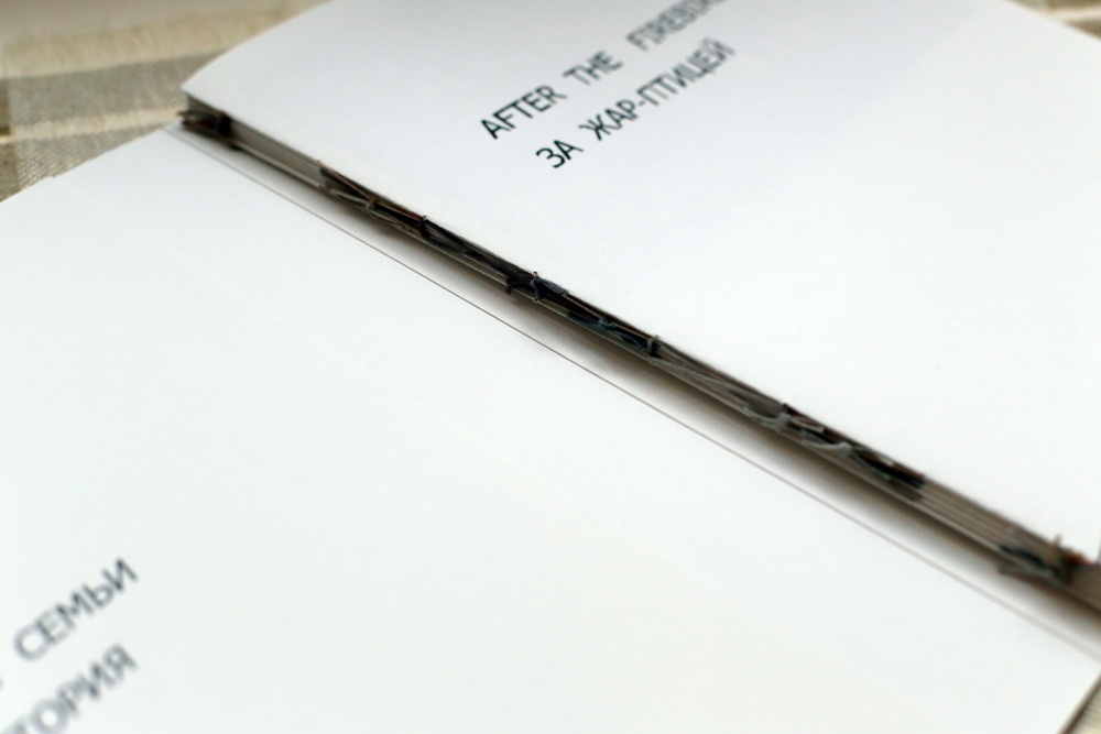 За Жар-Птицей. Екатерина Васильева художник, куратор и преподаватель