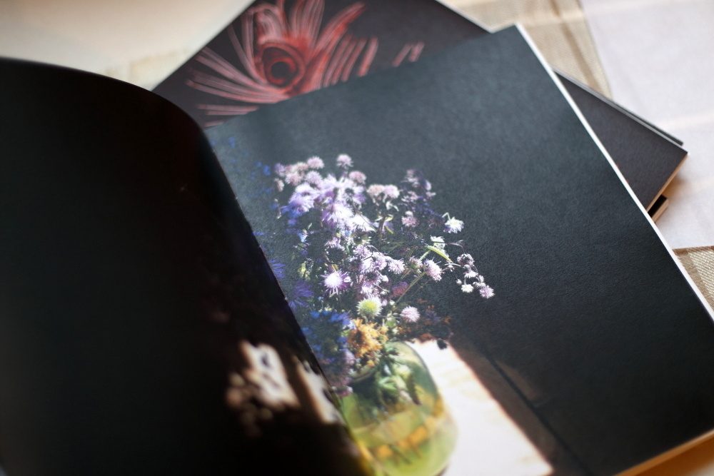 За Жар-Птицей. Екатерина Васильева художник, куратор и преподаватель