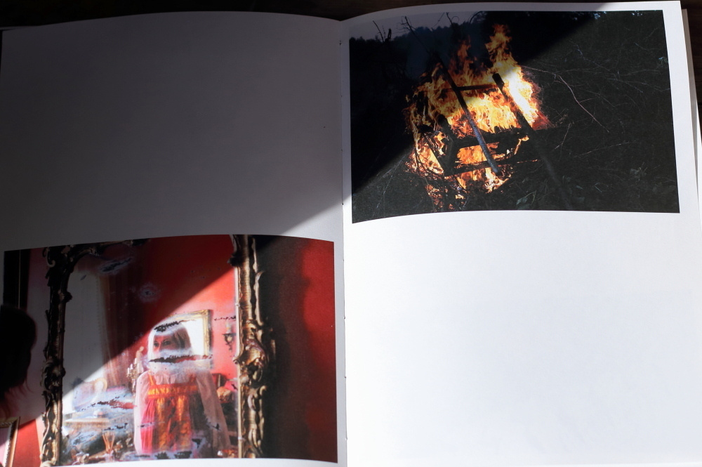 За Жар-Птицей. Екатерина Васильева художник, куратор и преподаватель