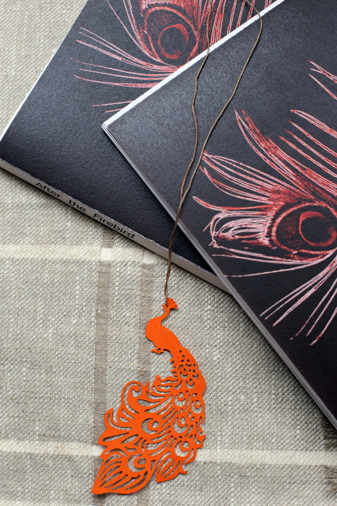 За Жар-Птицей. Екатерина Васильева художник, куратор и преподаватель