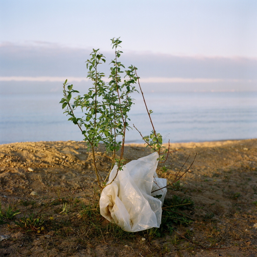 Нева река. Екатерина Васильева художник, куратор и преподаватель