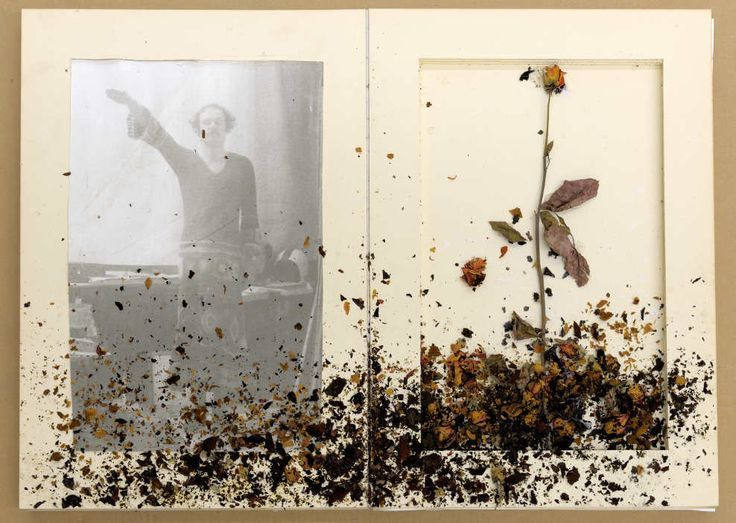 Разум или чувства. Екатерина Васильева художник, куратор и преподаватель